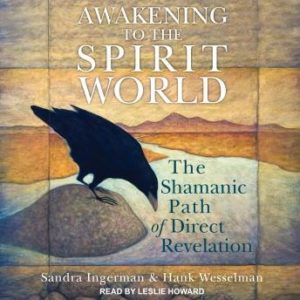 Awakening to the Spirit World: The Shamanic Path of Direct Revelation