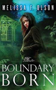 Boundary Born