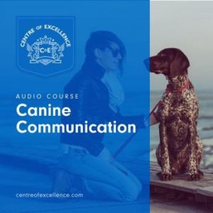 Canine Communication