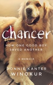 Chancer: How One Good Boy Saved Another