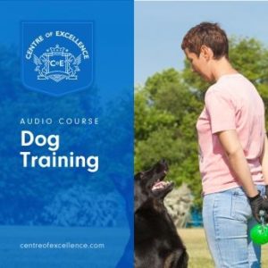 Dog Training