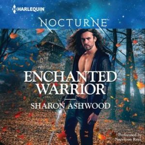 Enchanted Warrior