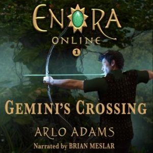 Gemini's Crossing: A LitRPG Gamelit Fantasy Adventure: Enora Online: Book 1