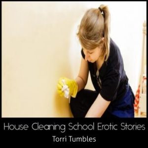 House Cleaning School Erotic Stories