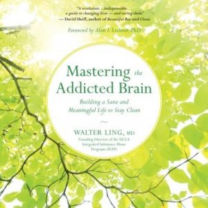 Mastering the Addicted Brain: Building a Sane and Meaningful Life to Stay Clean