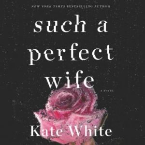 Such a Perfect Wife: A Novel