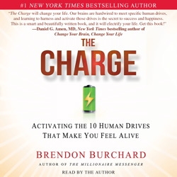 The Charge: Activating the 10 Human Drives That Make You Feel Alive