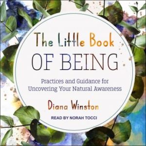 The Little Book of Being: Practices and Guidance for Uncovering Your Natural Awareness