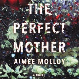 The Perfect Mother: A Novel