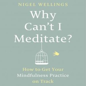 Why Can't I Meditate?: How to Get Your Mindfulness Practice on Track