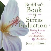 Buddha's Book Stress Reduction: Finding Serenity and Peace with Mindfulness Meditation