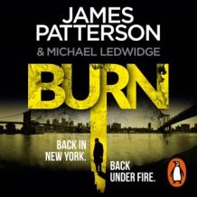 Burn: (Michael Bennett 7). A sizzling New York crime thriller