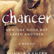 Chancer: How One Good Boy Saved Another