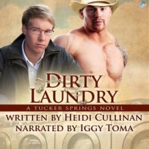 Dirty Laundry: A Tucker Springs Novel