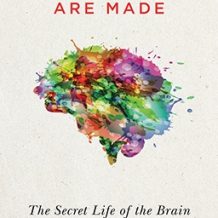 How Emotions Are Made: The New Science of the Mind and Brain