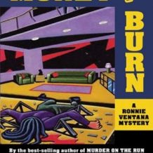 Money to Burn: A Ronnie Ventana Mystery