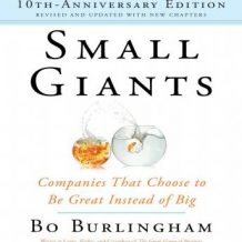 Small Giants: Companies That Choose to Be Great Instead of Big, 10th-Anniversary Edition