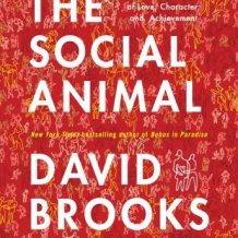 The Social Animal: The Hidden Sources of Love, Character, and Achievement