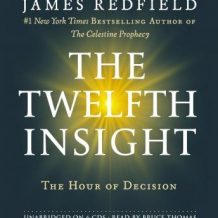 The Twelfth Insight: The Hour of Decision