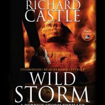 Wild Storm: A Derrick Storm Thriller