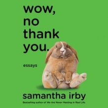 Wow, No Thank You.: Essays